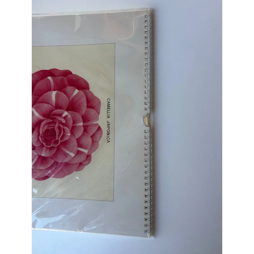 Cavallini & Co Wall Calendar 2024 Botanica Vintage Floral Art Prints New Sealed
